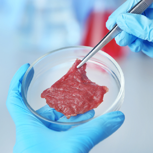 lab grown meat, artificial meat